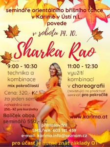seminar-sarka.jpg